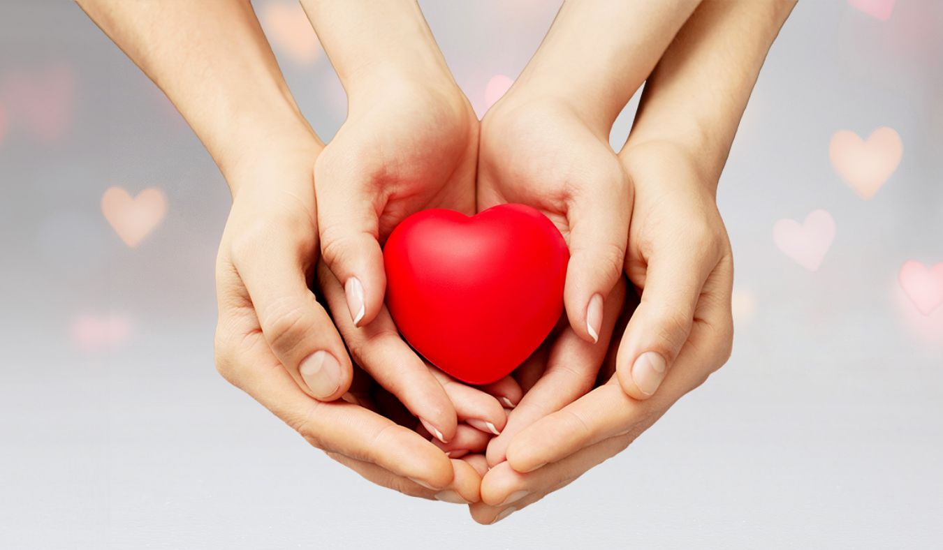 hands holding heart