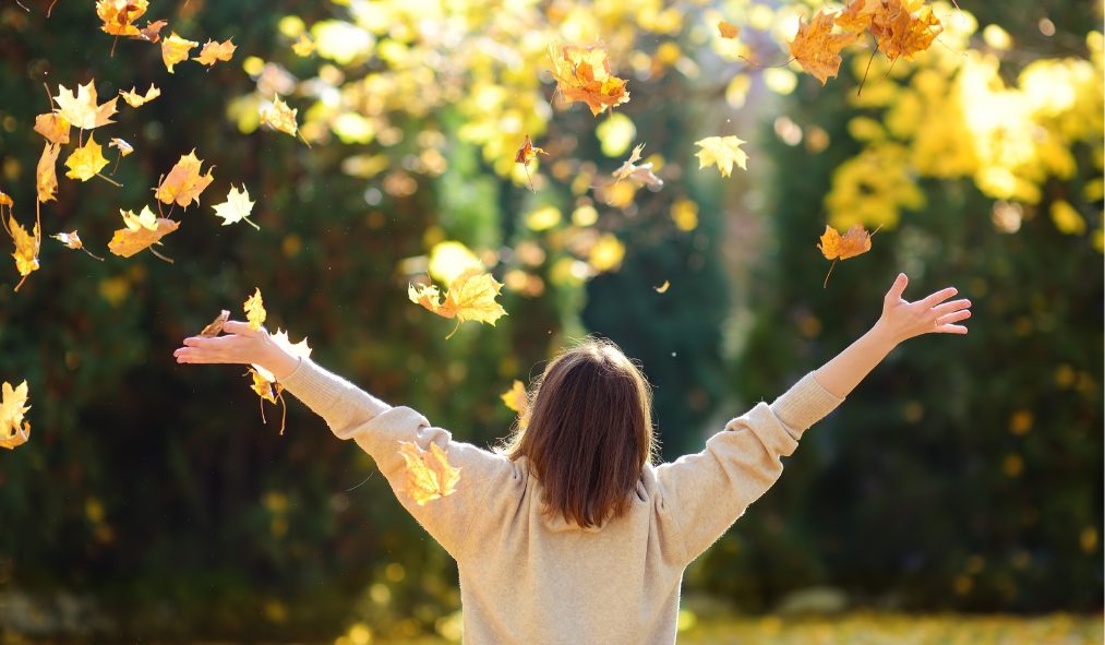 fall celebrating leaves