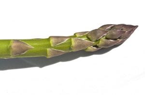 Asparagus