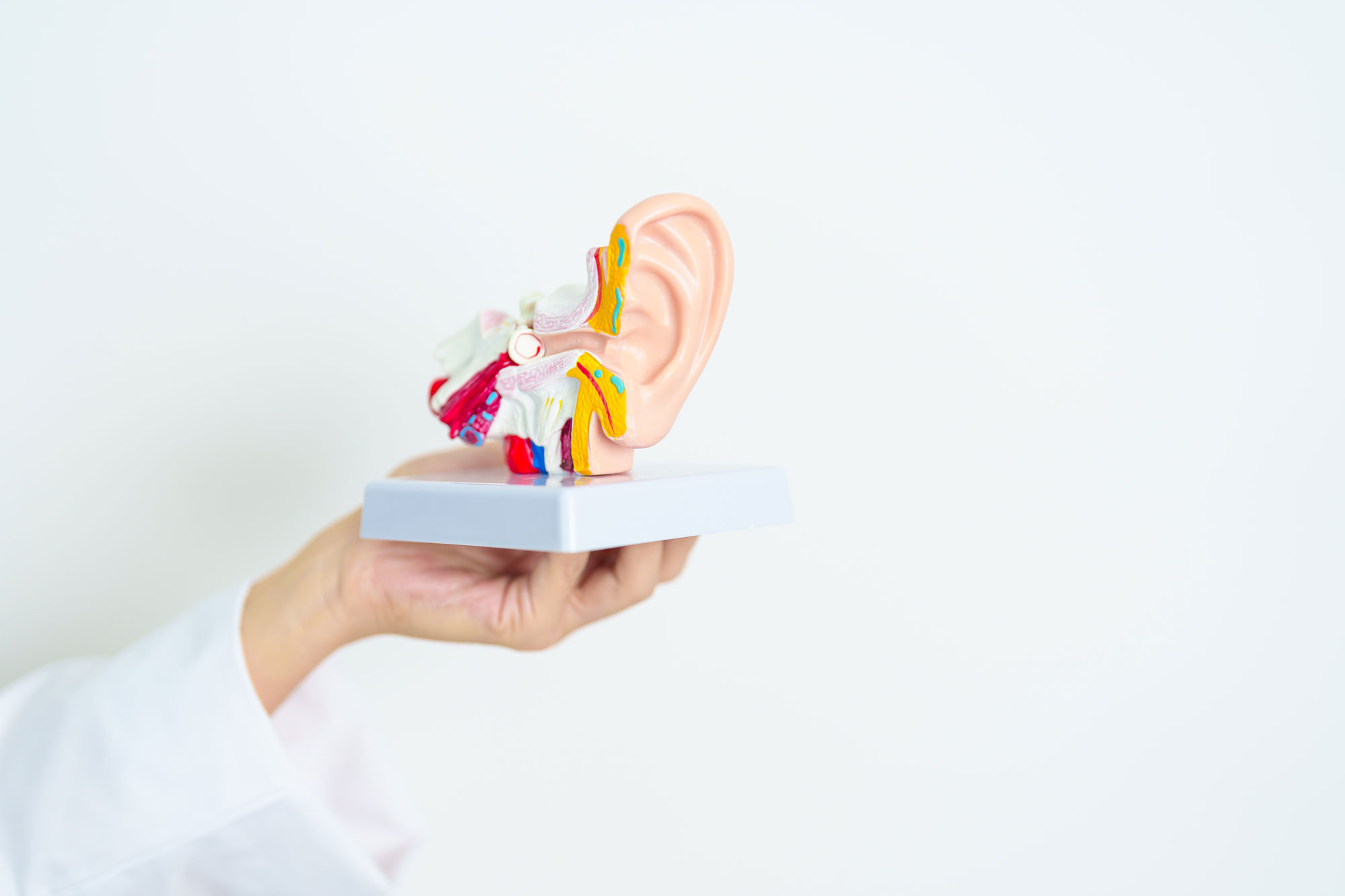 ear tubes 2410771239