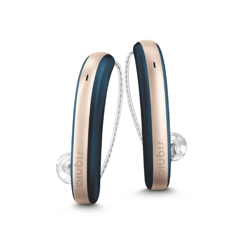 hearing aids bte