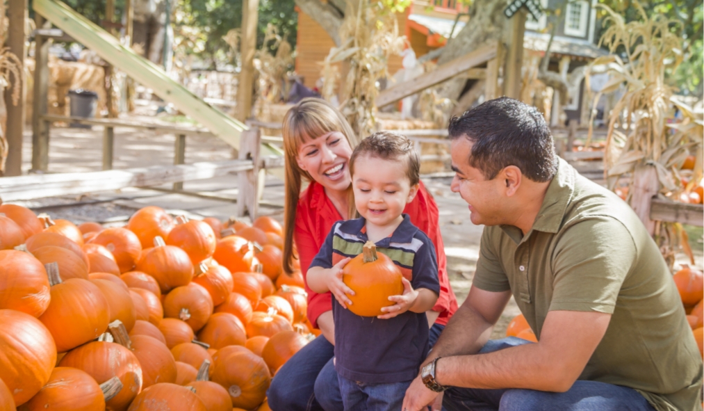 events autumn hispanic grandparents grandson pumpkin patch
