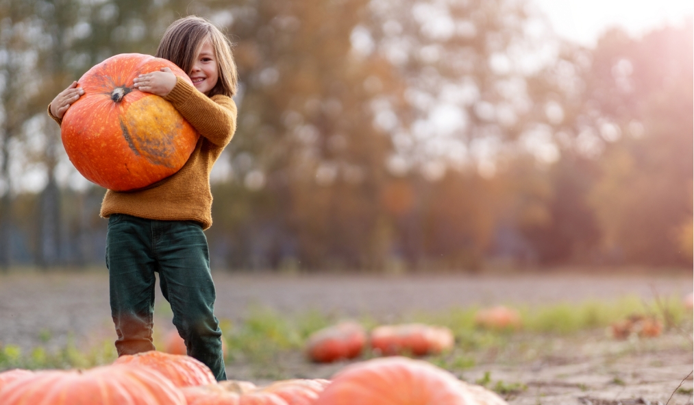 events autumn white boy holding pumpkin as big as him