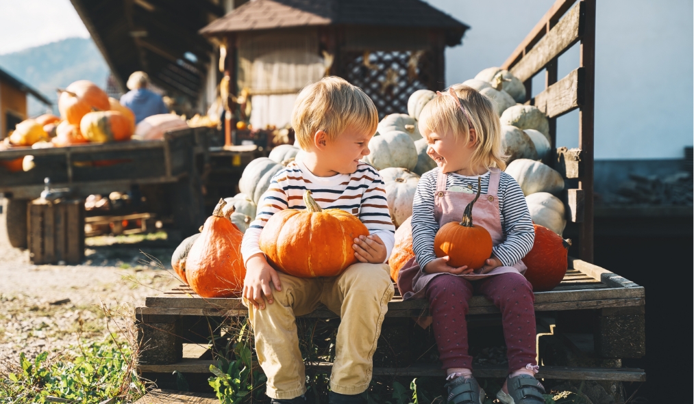 events autumn white children holding pumpkins patch