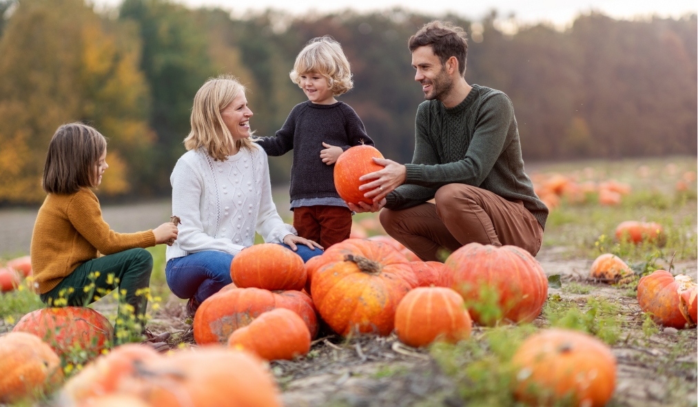 events autumn white family pumpkin patch