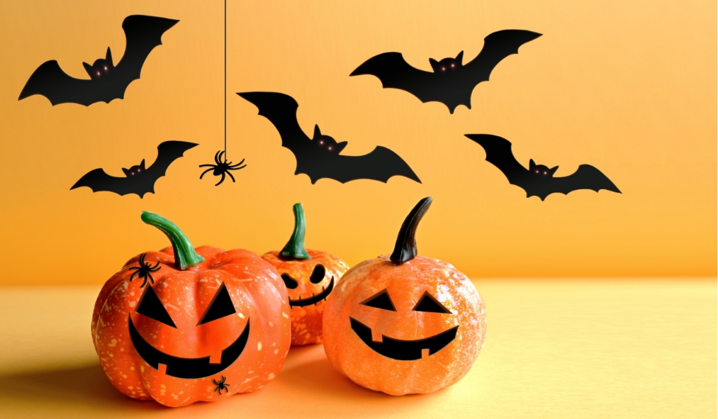 events halloween jack o lanterns bats spiders