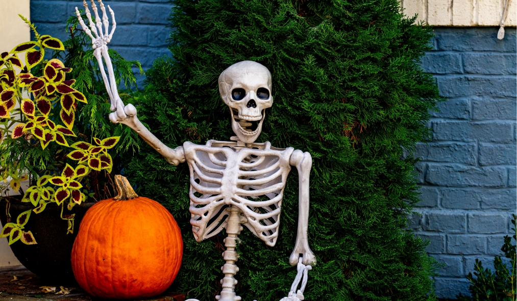 events halloween skeleton waving next to pumpkin on porch