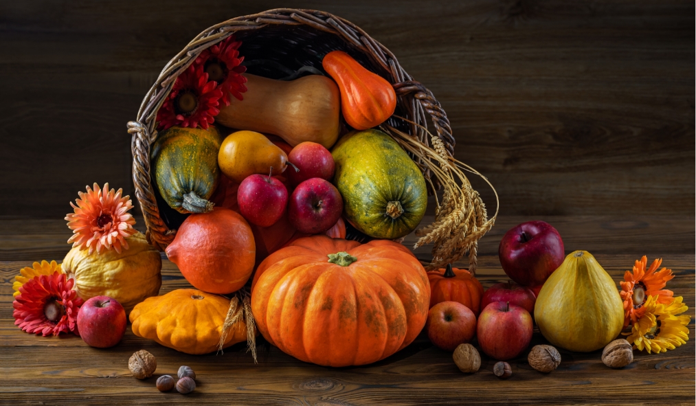 events thanksgiving basket full of squash apples pumpkins
