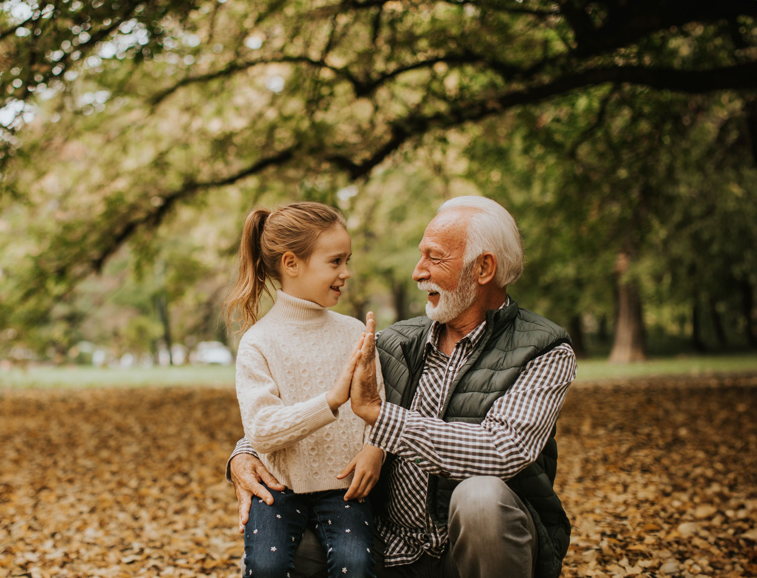 banner fall split block grandfather granddaughter high fiving under autumn tree