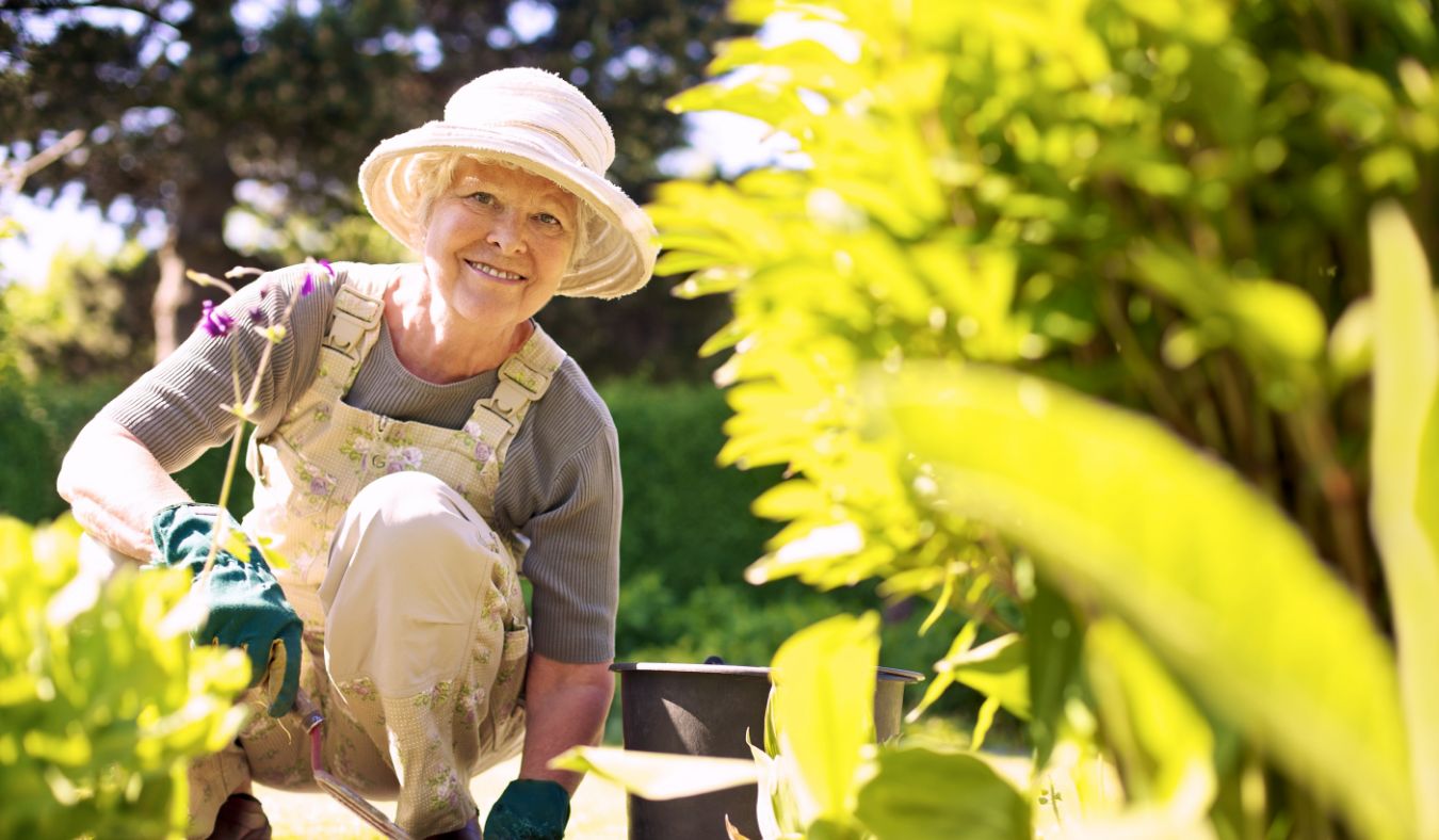 senior woman gardening