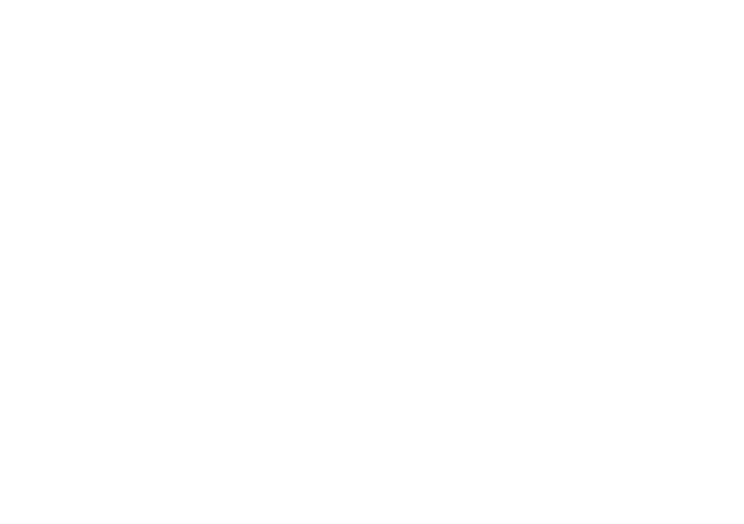 logo ihoi white