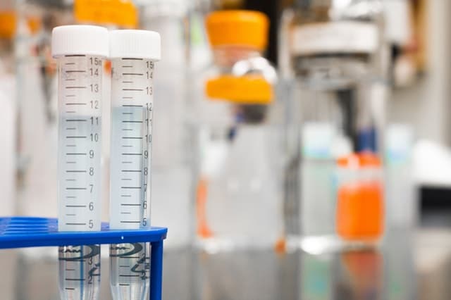 chemicals and hearing loss