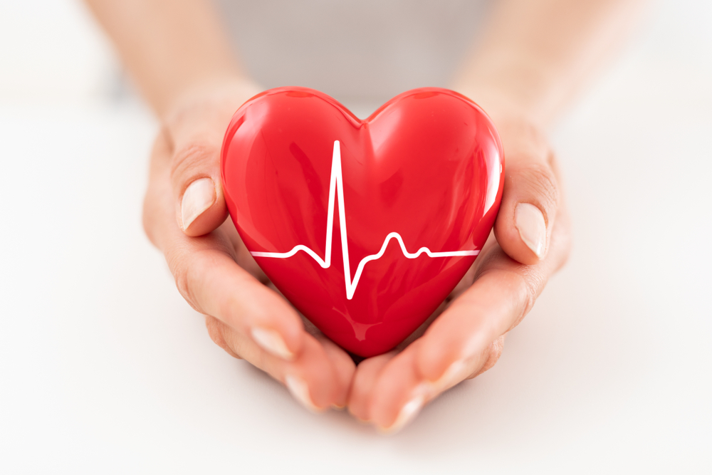 The,Woman,Is,Holding,A,Red,Heart ,Concept,For,Charity,