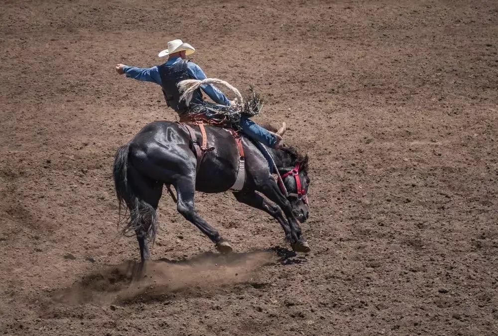Cody Wyoming Rodeo Modern Hearing Solutions 1000x675