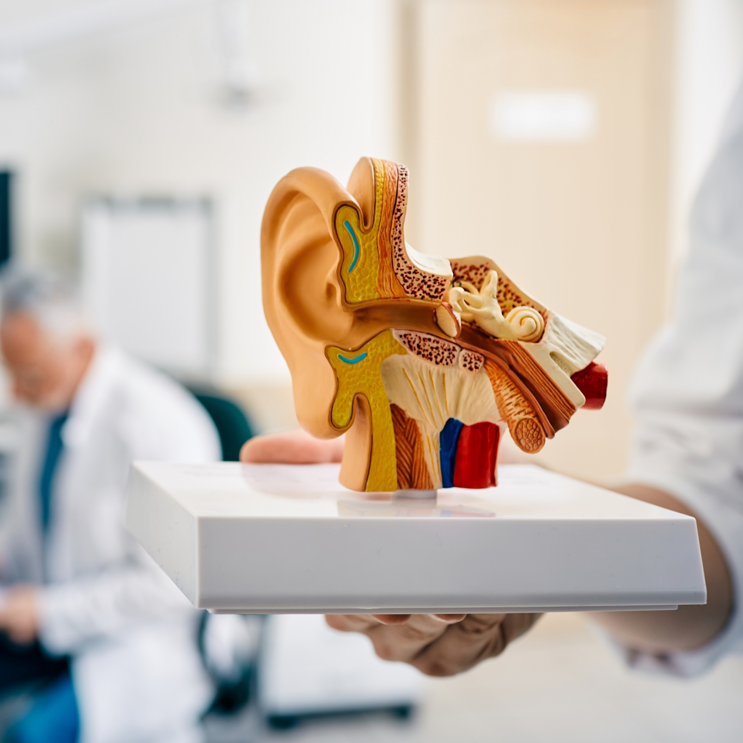 hearing loss resources