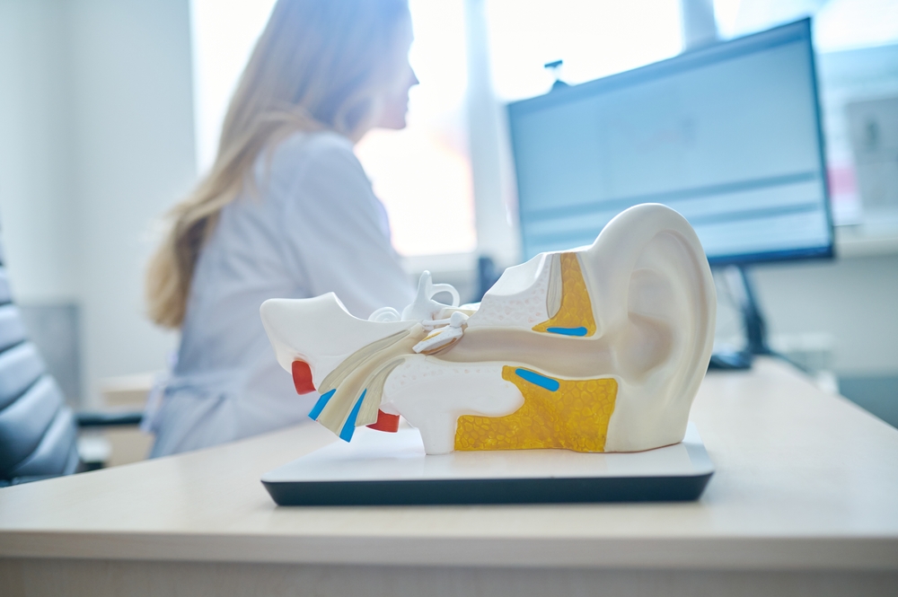 Beginner’s Guide to Invisible Hearing Aids Near Foxborough, MA