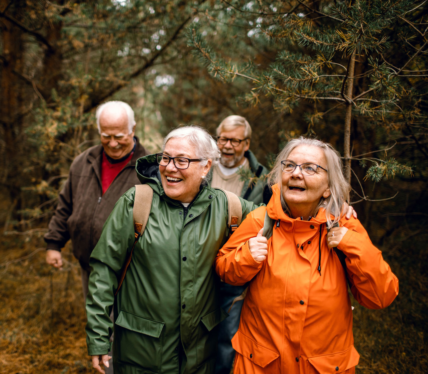 group of senior friends hiking in forest