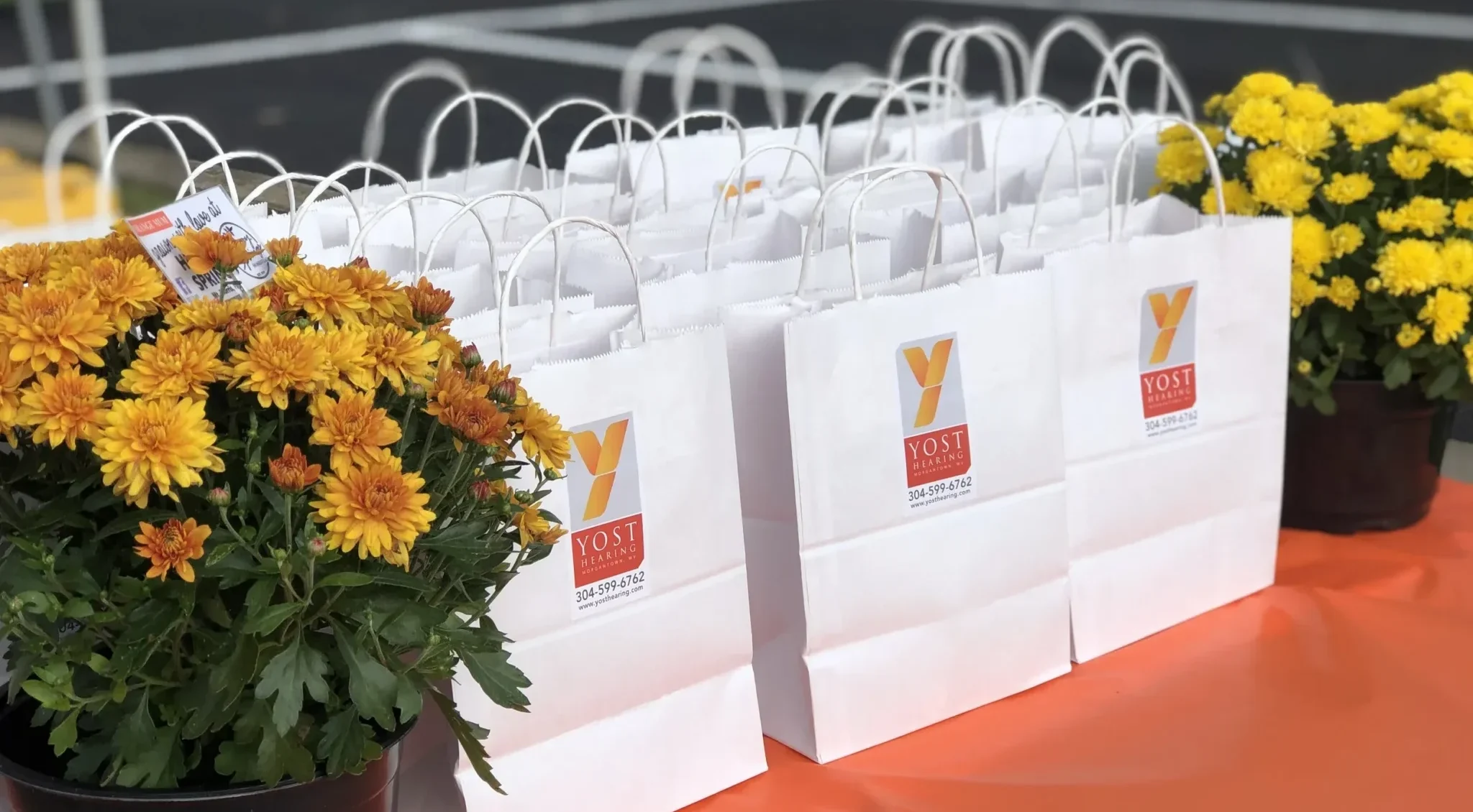 gift bags lined up along table 2048x1536