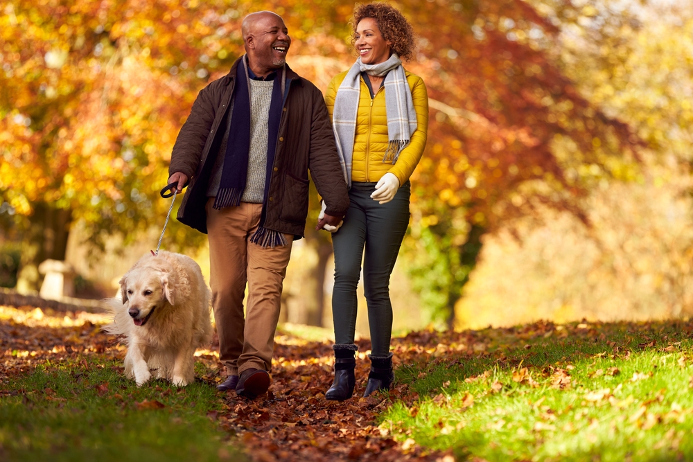 Senior,Couple,Walking,With,Pet,Golden,Retriever,Dog,In,Autumn