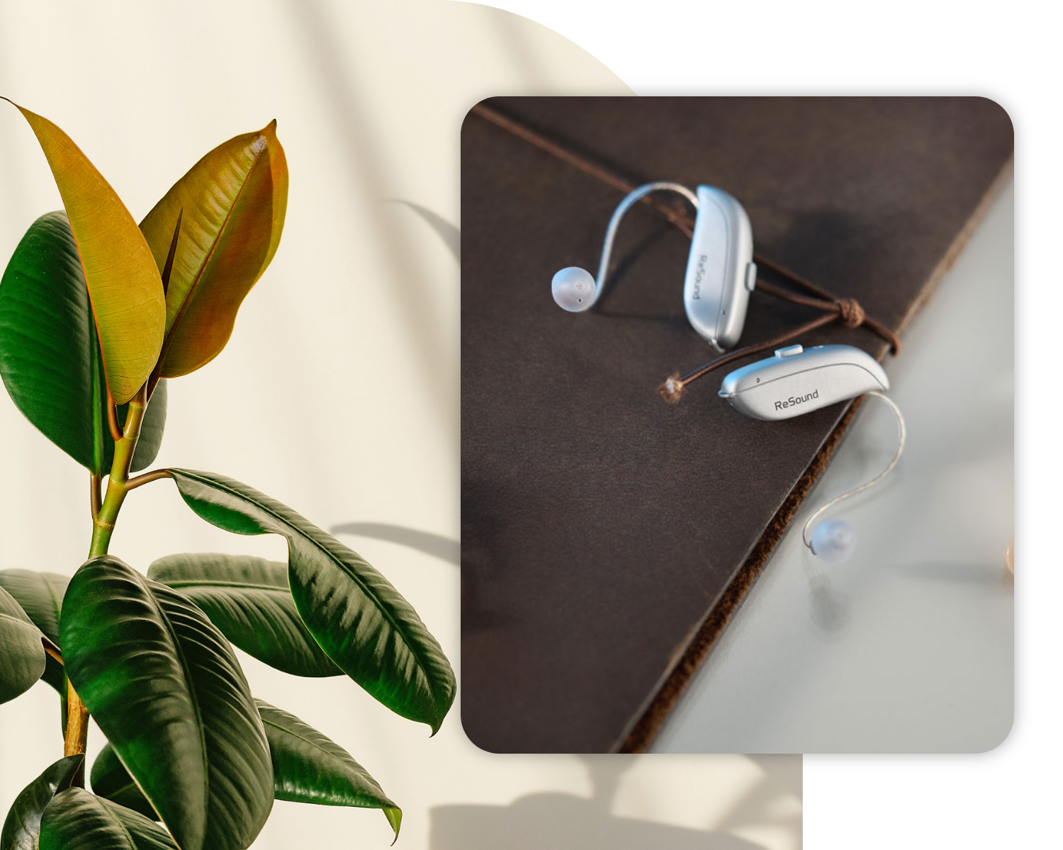 collage hearing aid plants bg