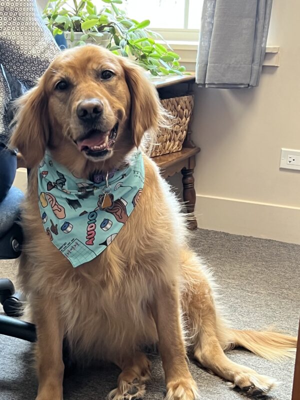 Daisy 2