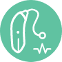 hearing aid hearing aid