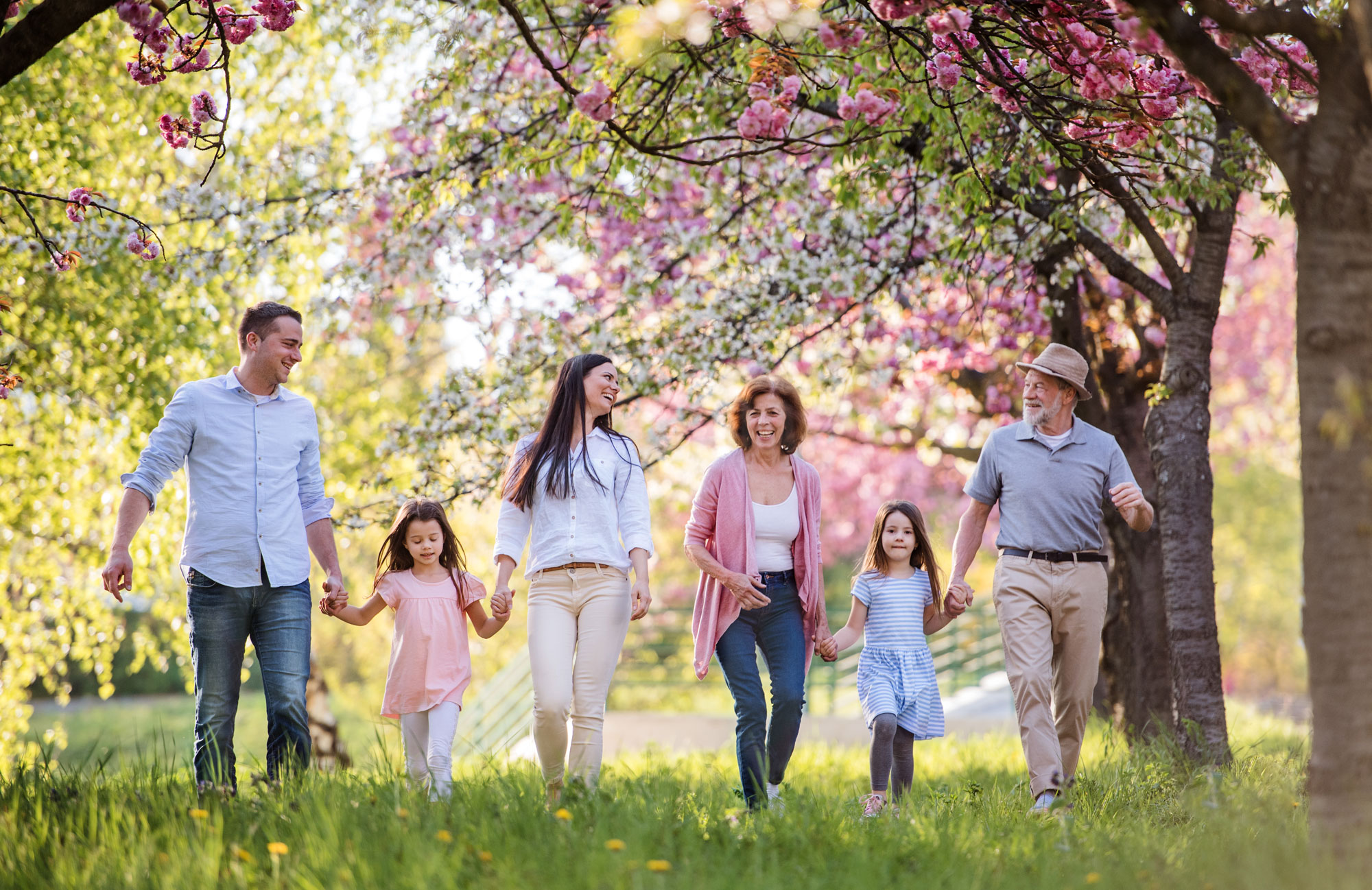 grandparents family cherry blossom