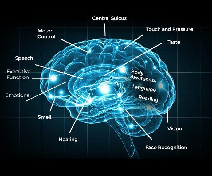 brain graphic text blackbg brain graphic text blackbg