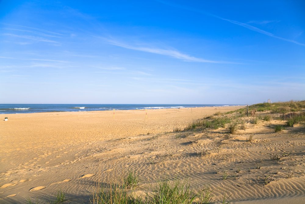 a beach in sunny weather