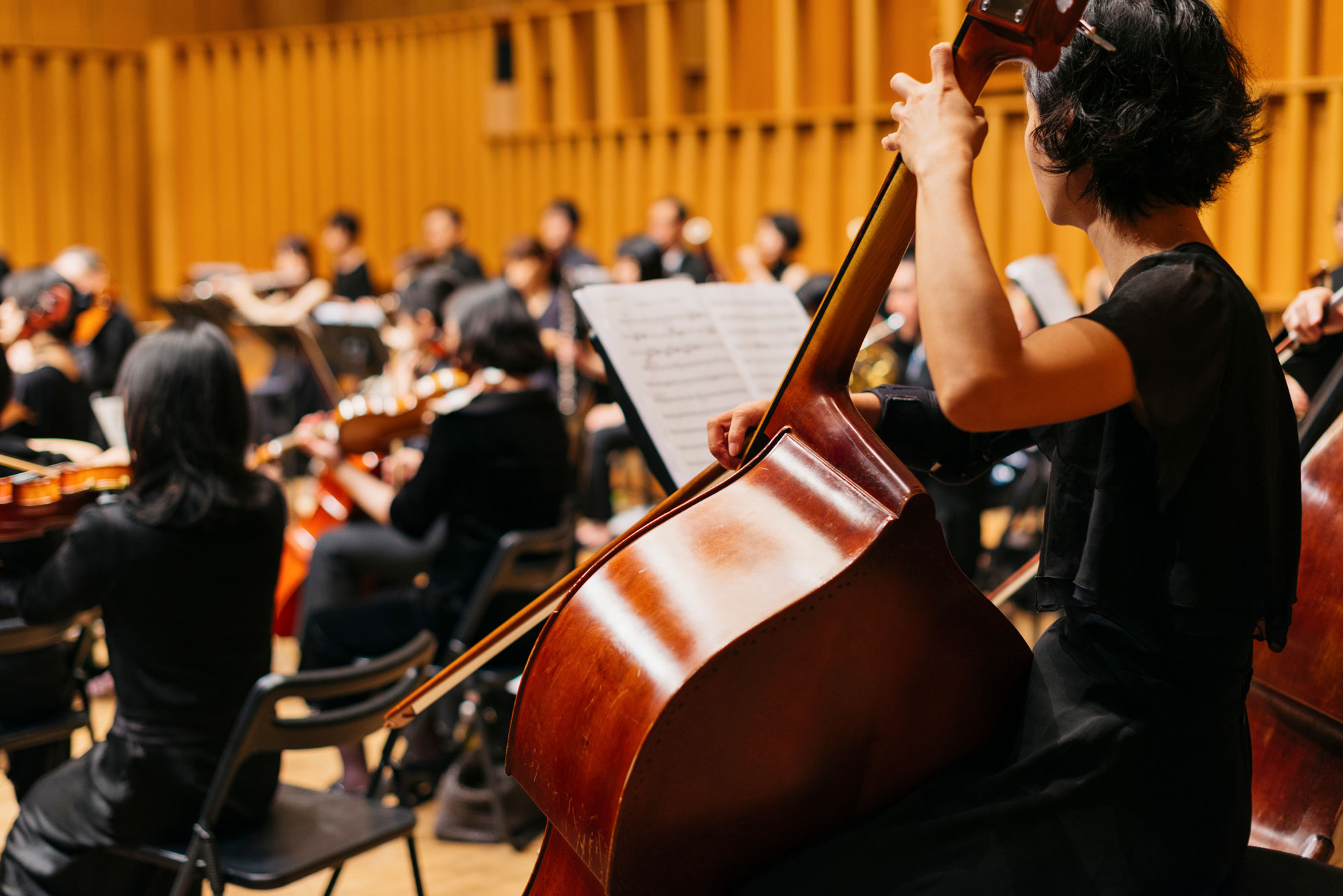 bass player performing in orchestra concert