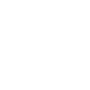 survey icon white