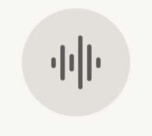 Companion App