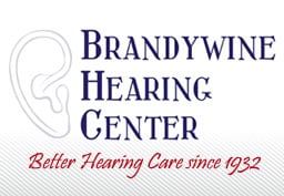 logo footer
