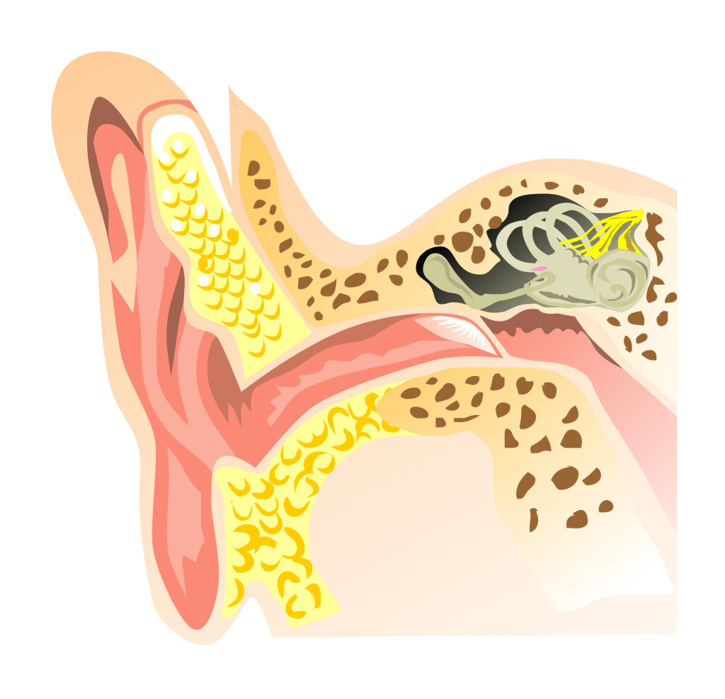 nx_ear_interior1-1024x987.jpg