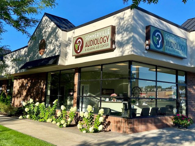 sommerville audiology 2022 sommerville audiology 2022