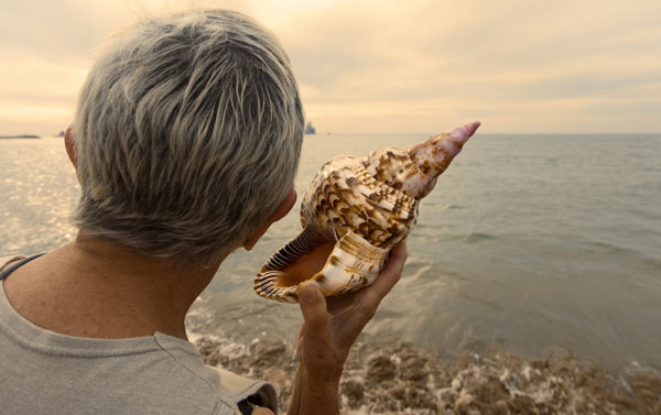 a woman whose name might be sally is holding a seashell by the seashore