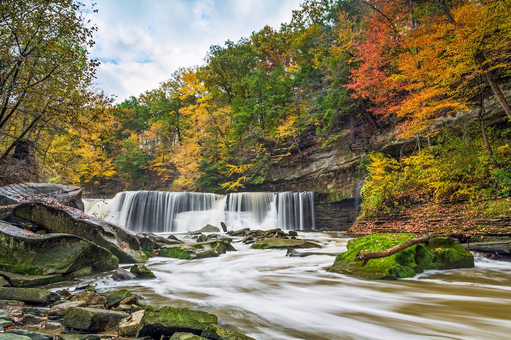 a flowing creek running through orange red and green trees
