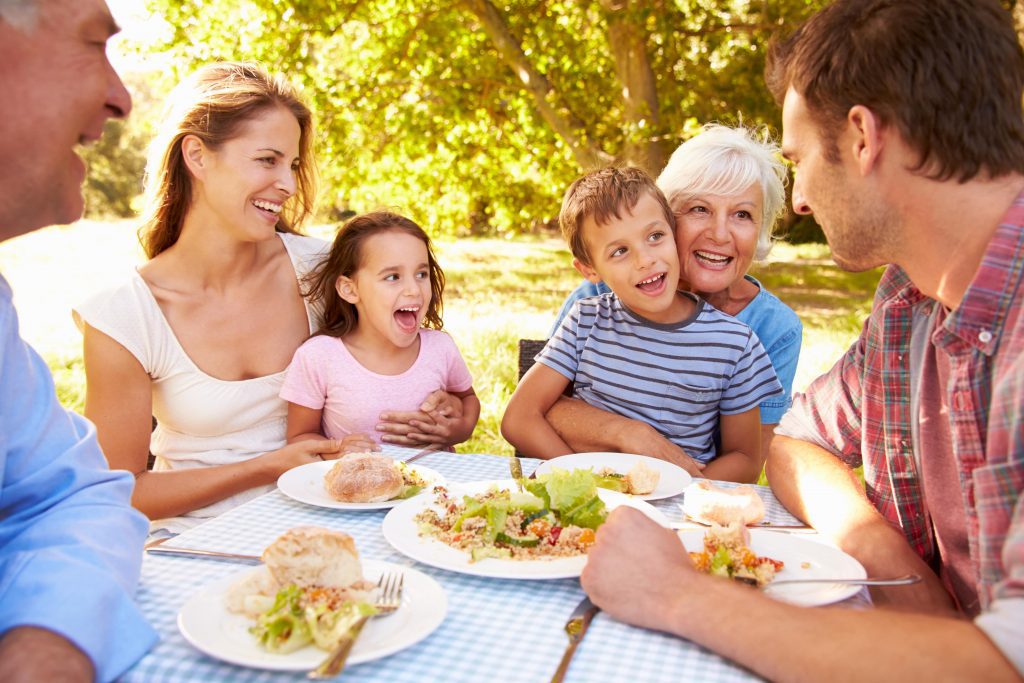 family picnic smiling family picnic smiling