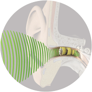 Lyric_Hearing_Aid_Faded_180.png