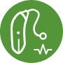hearing aid