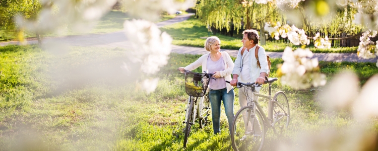 spring mature couple biking outdoors with blossoming trees