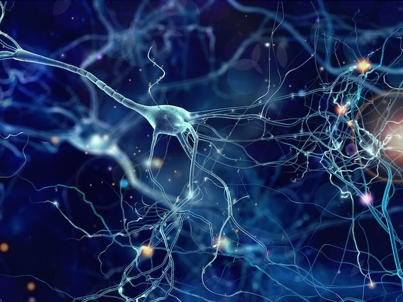 Image of a neural disease that would cause high-frequency hearing loss.