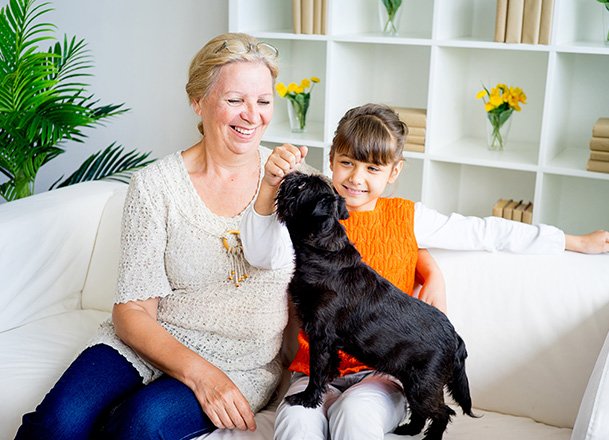 family dog