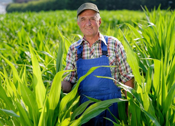 farmer
