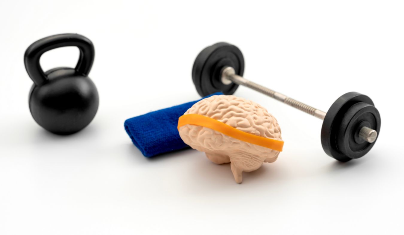 brain health fit brain