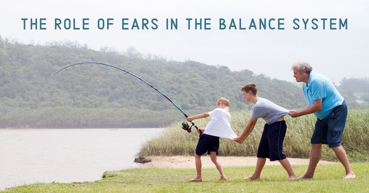 The Role of Ears in the Balance System