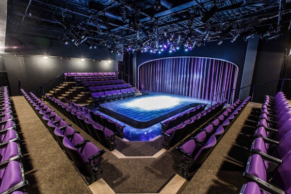 Tom O'Connor - Purple Rose Theater Chelsea MI Interior.jpg
