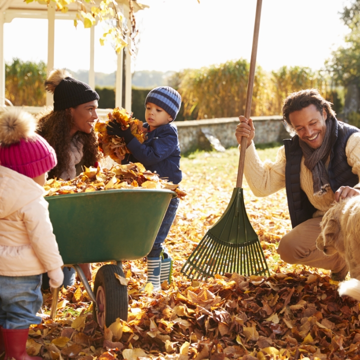 fall family raking leaves