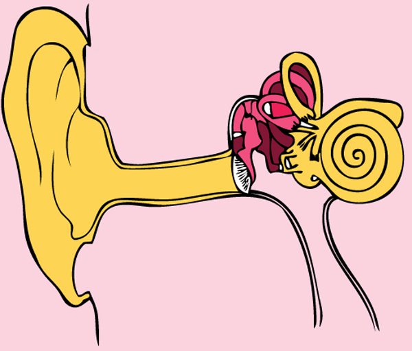 infographic of ear and inner canal