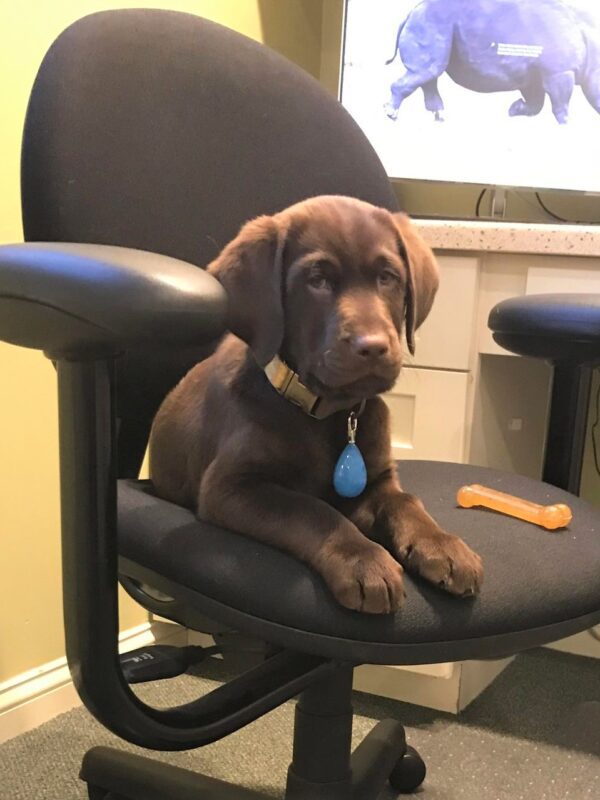 Sammy
